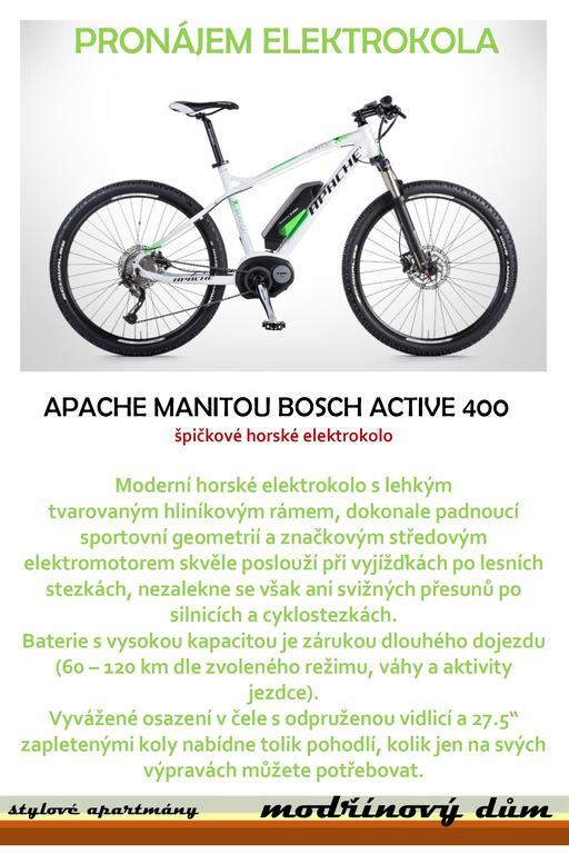 Apartmany Modrinovy Dum Horní Planá Zewnętrze zdjęcie
